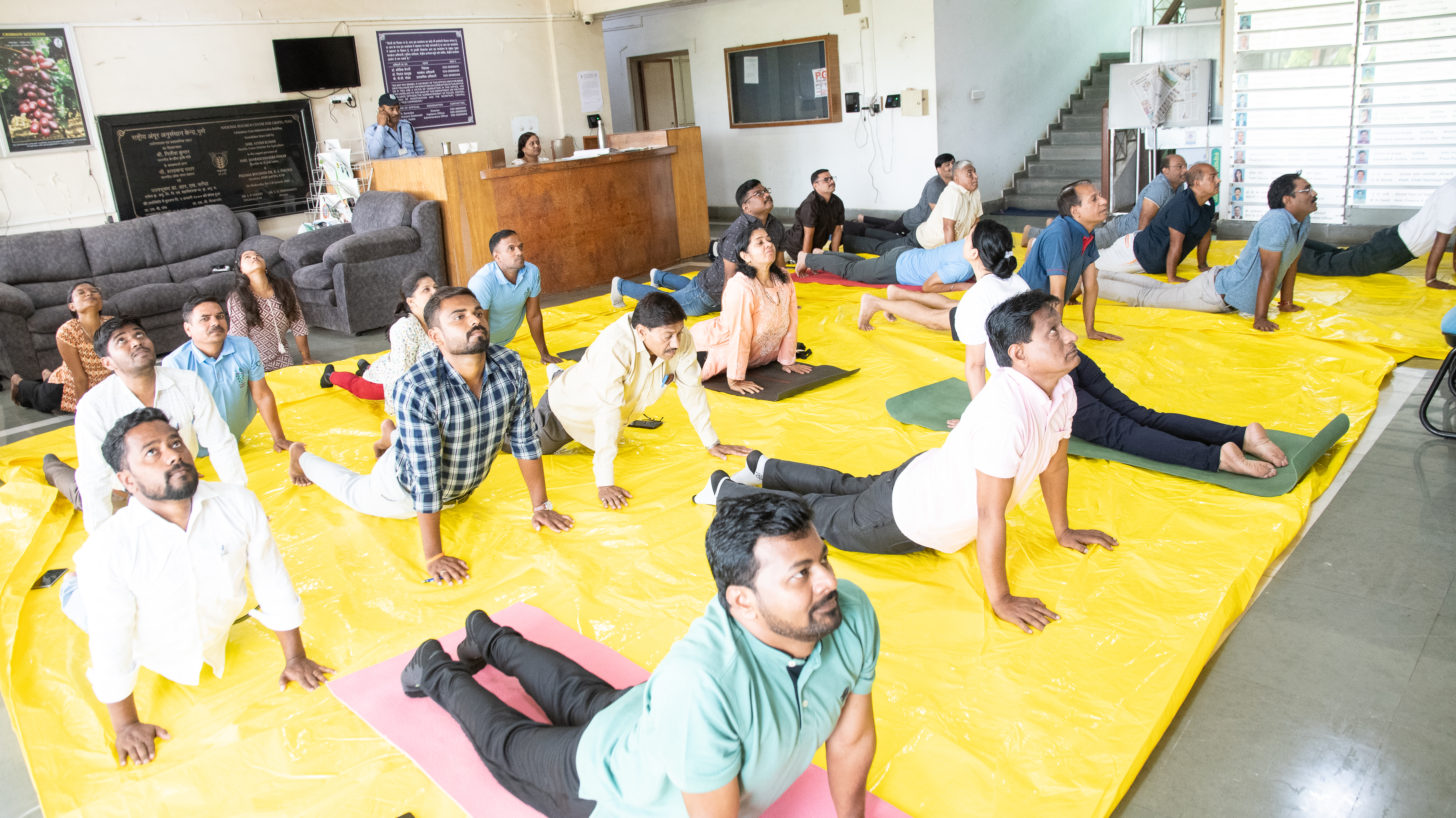 Yoga day at National Research Centre for Grapes (NRCG), Pune