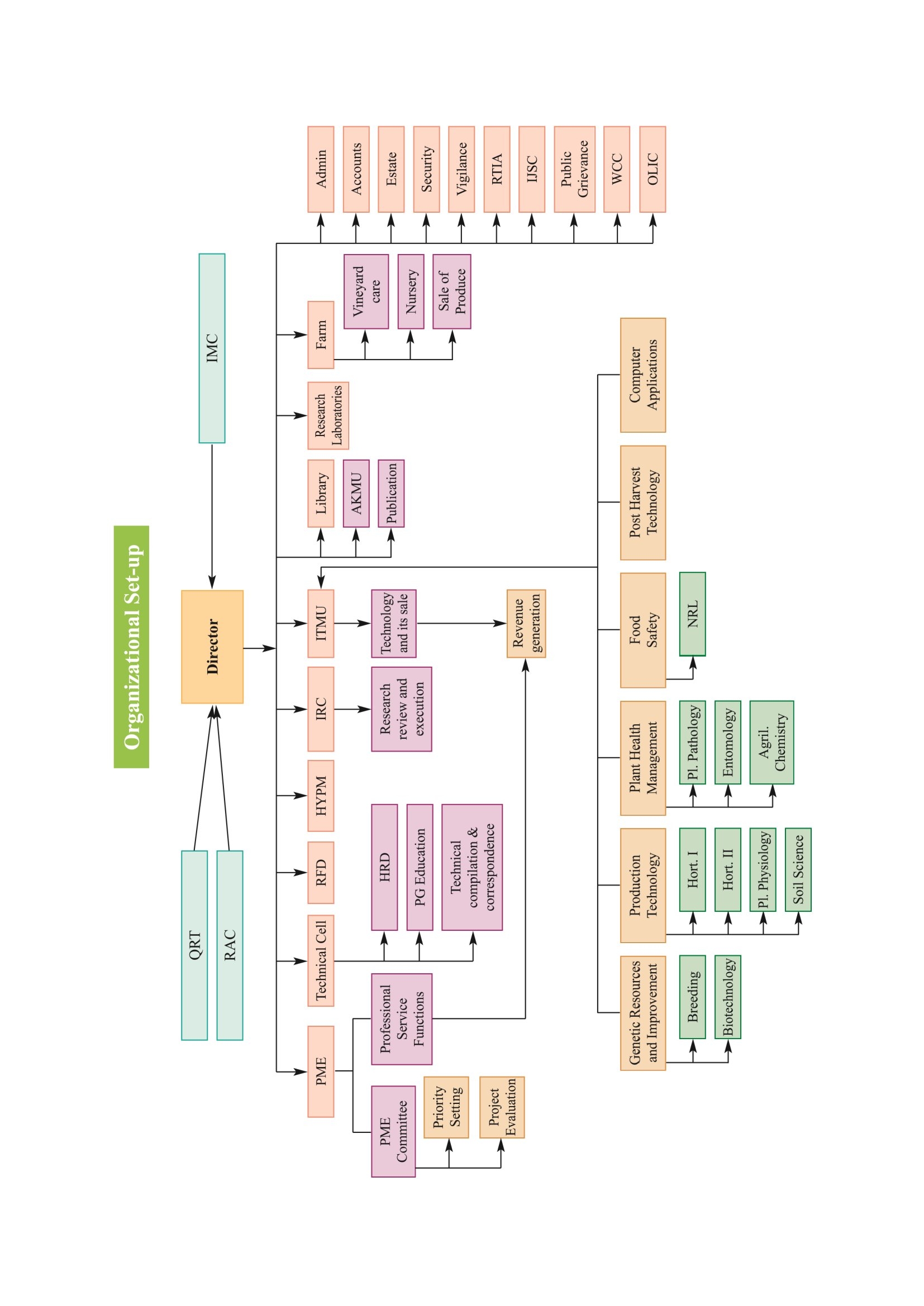 Organogram